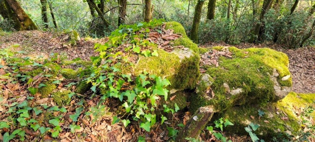 Le-Coin-Tranquille_BB_La-roque-Gageac_hiking